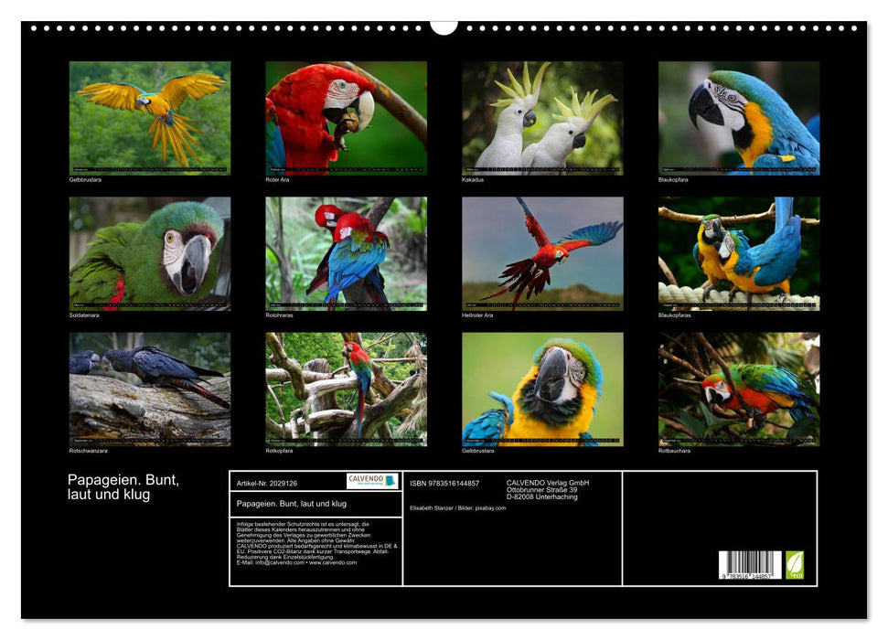 Papageien. Bunt, laut und klug (CALVENDO Wandkalender 2026)