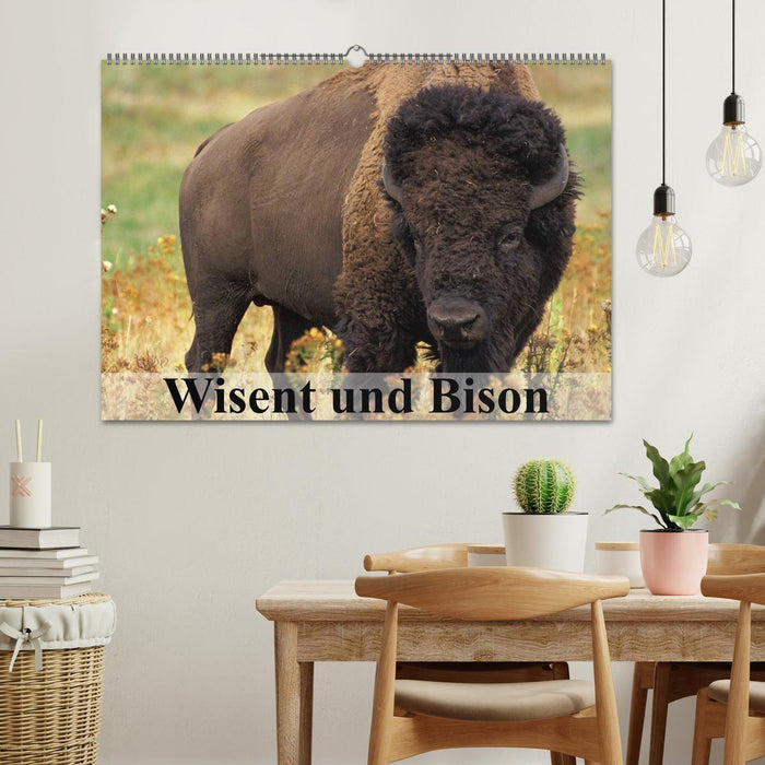 Wisent und Bison (CALVENDO Wandkalender 2026)