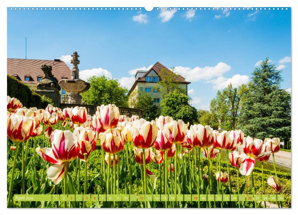 Malerisches Bad Dürkheim (CALVENDO Wandkalender 2026)