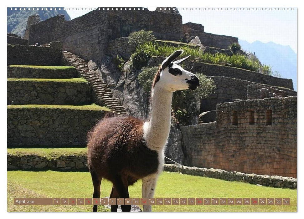 Perú. Impressionen (CALVENDO Premium Wandkalender 2026)