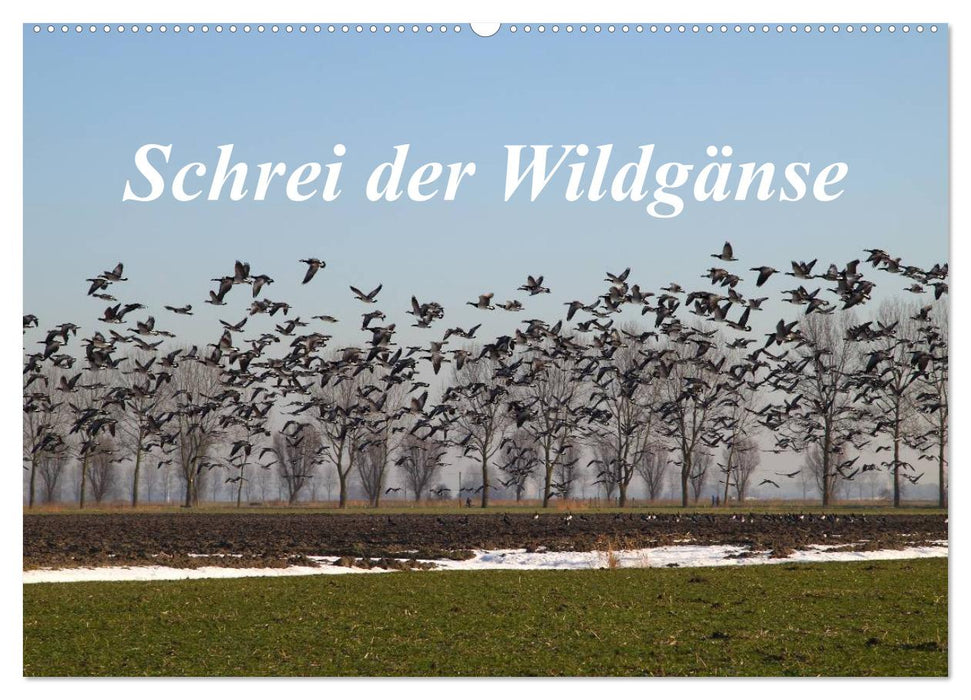 Schrei der Wildgänse (CALVENDO Wandkalender 2026)