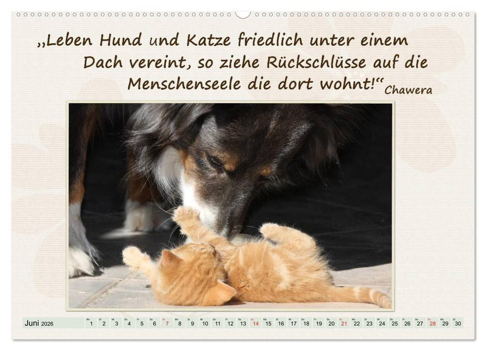Mit Hundezitaten gut durchs Jahr / CH-Version (CALVENDO Wandkalender 2026)