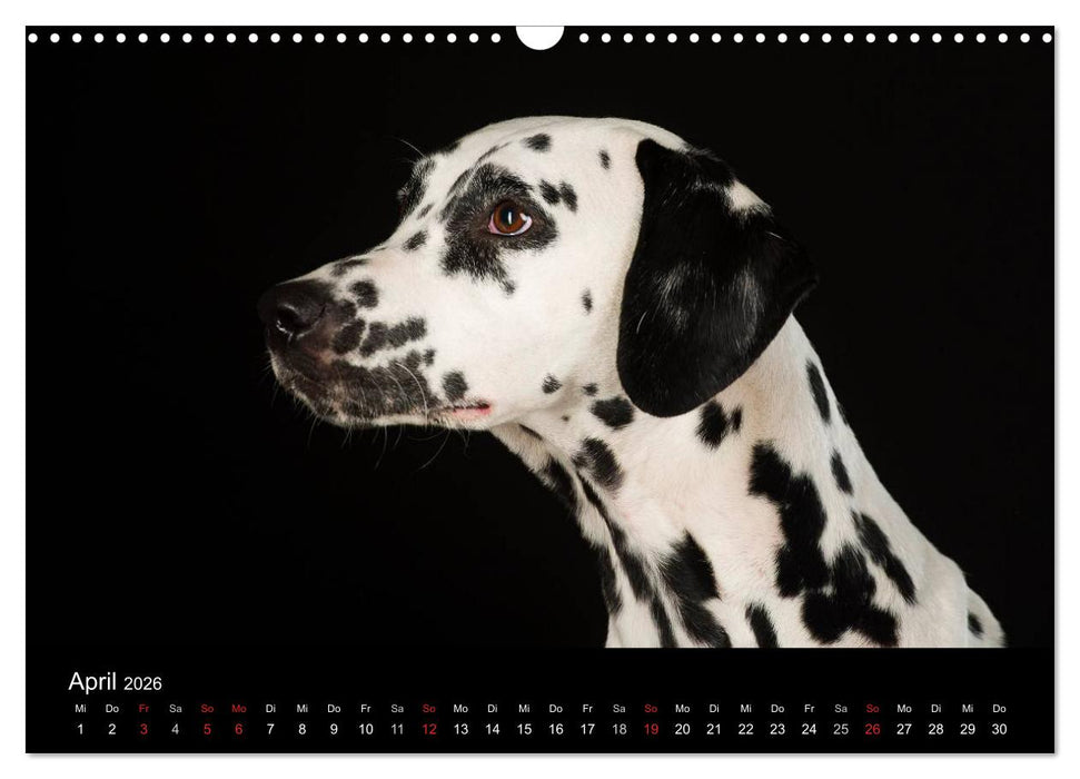 Dogs (CALVENDO Wandkalender 2026)
