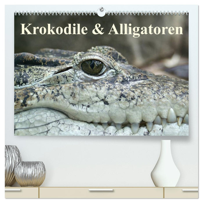 Krokodile & Alligatoren (CALVENDO Premium Wandkalender 2026)