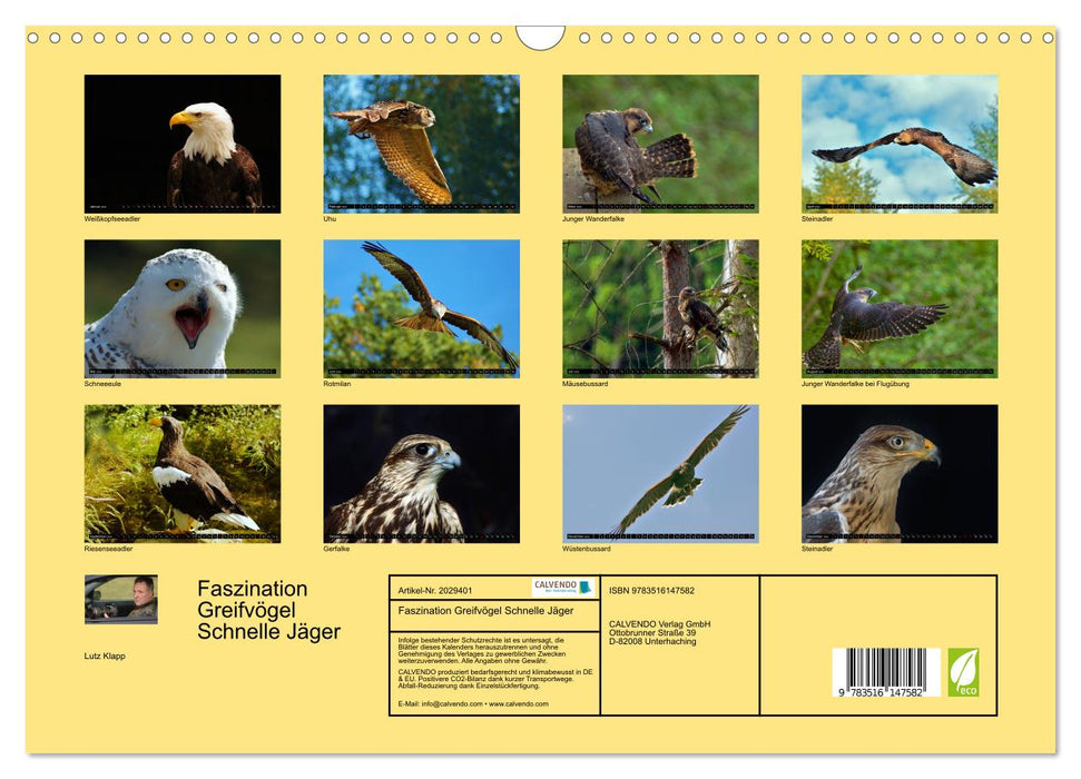 Faszination Greifvögel Schnelle Jäger (CALVENDO Wandkalender 2026)
