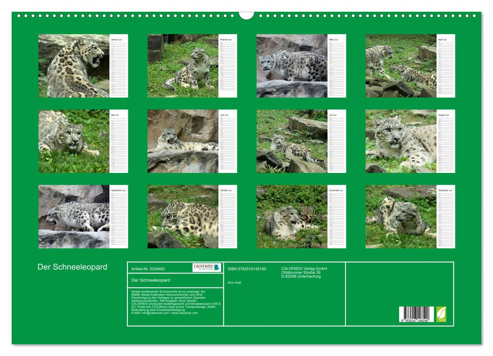 Der Schneeleopard (CALVENDO Wandkalender 2026)