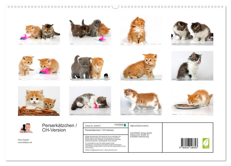 Perserkätzchen / CH-Version (CALVENDO Premium Wandkalender 2026)