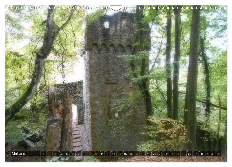 Burgen & Schlösser im Odenwald (CALVENDO Wandkalender 2026)