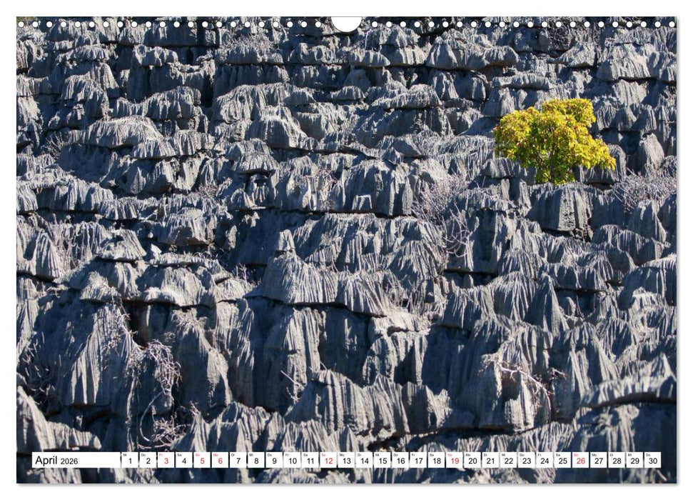 Madagaskar (CALVENDO Wandkalender 2026)