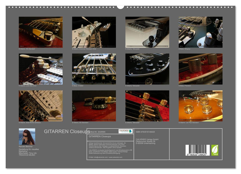 GITARREN Closeups (CALVENDO Premium Wandkalender 2026)