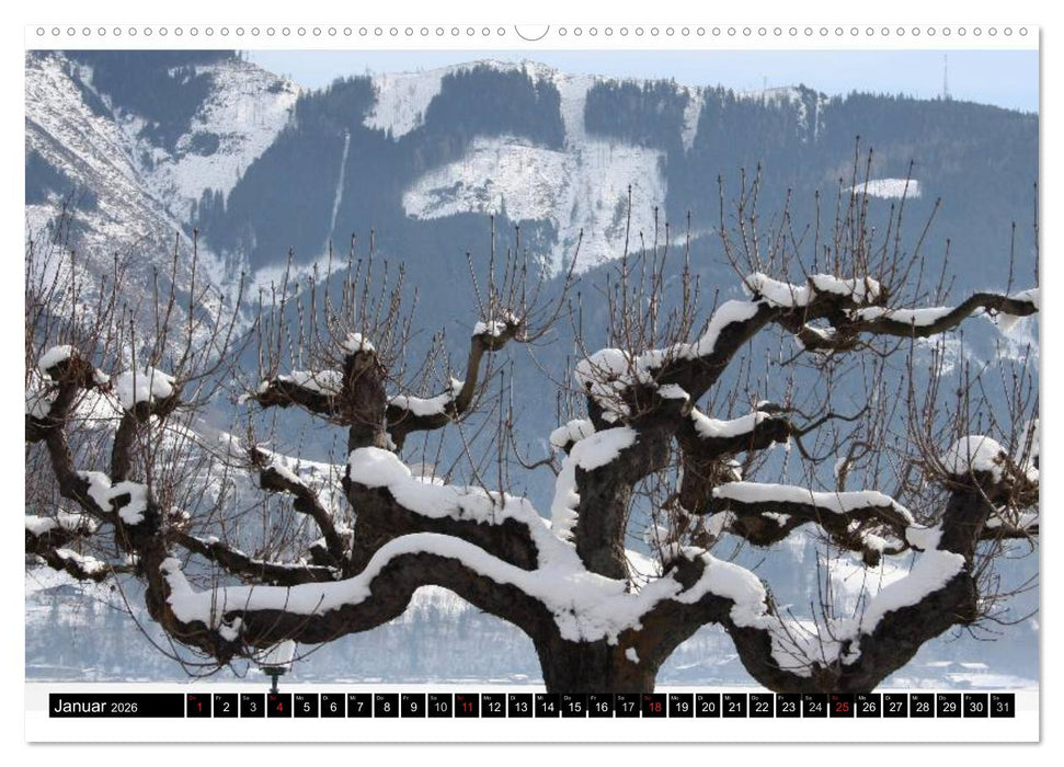 Liebeserklärung an Zell am See (CALVENDO Premium Wandkalender 2026)