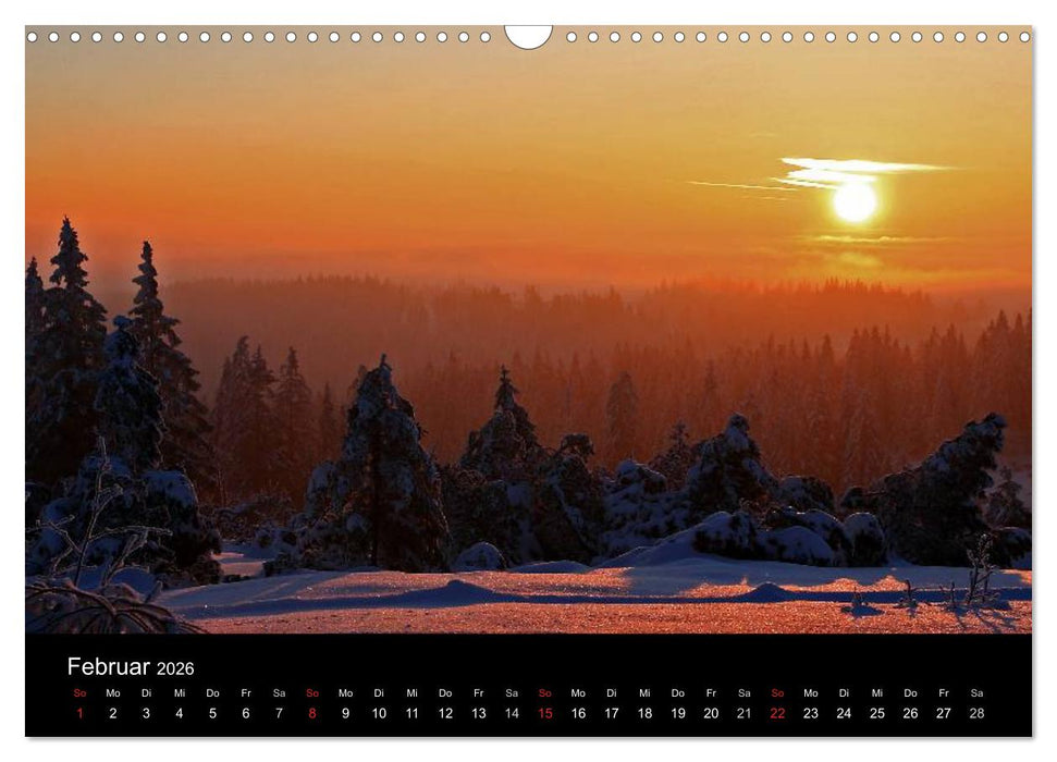 Mein Ortenaukalender 2026 (CALVENDO Wandkalender 2026)