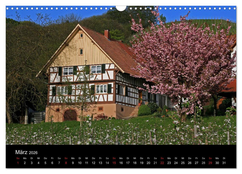 Mein Ortenaukalender 2026 (CALVENDO Wandkalender 2026)
