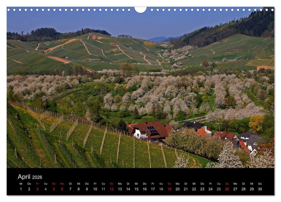 Mein Ortenaukalender 2026 (CALVENDO Wandkalender 2026)