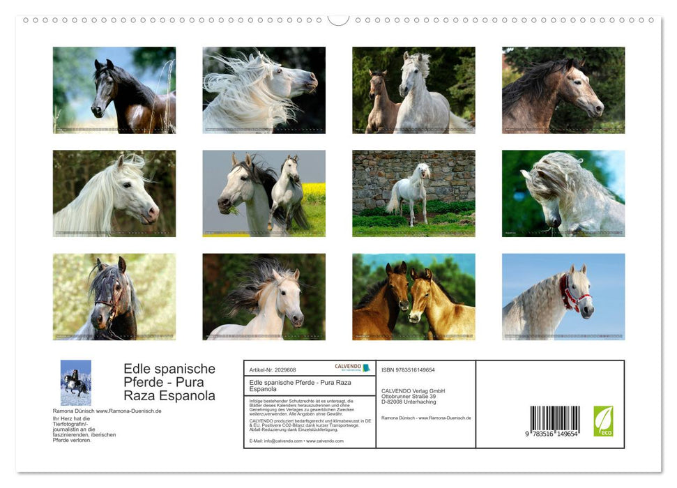 Edle spanische Pferde - Pura Raza Espanola (CALVENDO Premium Wandkalender 2026)