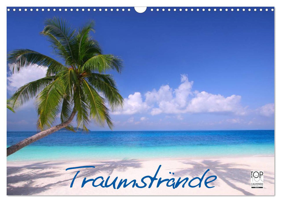Traumstrände (CALVENDO Wandkalender 2026)