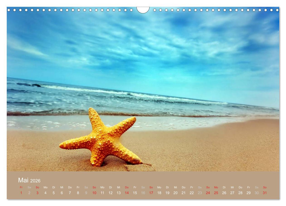 Traumstrände (CALVENDO Wandkalender 2026)