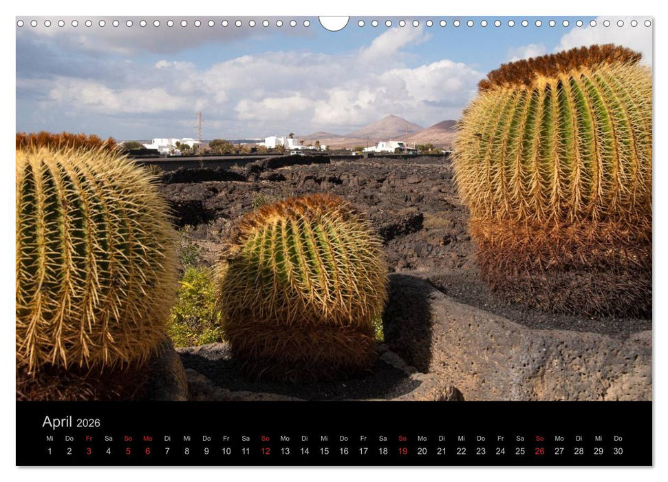 Unterwegs auf Lanzarote (CALVENDO Wandkalender 2026)