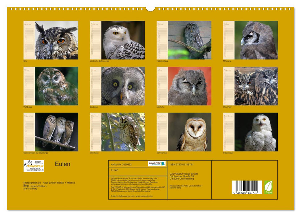 Eulen (CALVENDO Premium Wandkalender 2026)