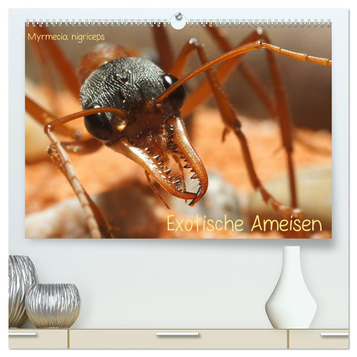 Exotische Ameisen (CALVENDO Premium Wandkalender 2026)