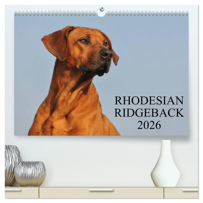 Rhodesian Ridgeback 2026 (CALVENDO Premium Wandkalender 2026)