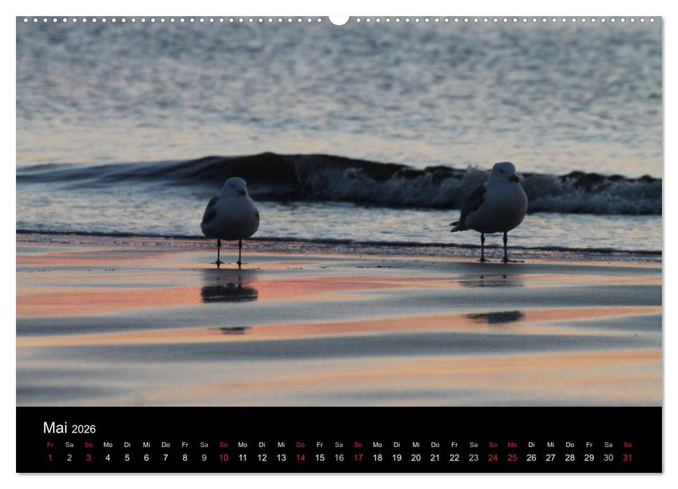Sylt 2026 (CALVENDO Premium Wandkalender 2026)