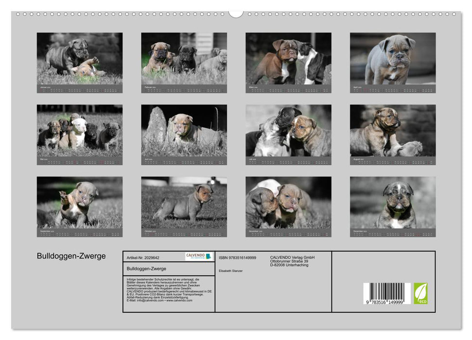 Bulldoggen-Zwerge (CALVENDO Premium Wandkalender 2026)