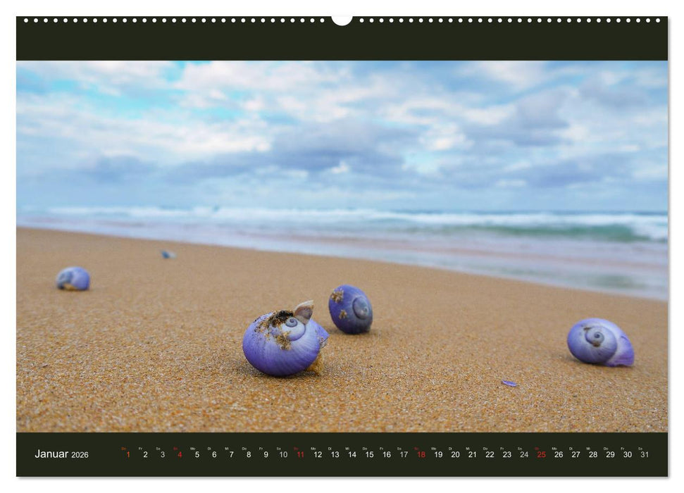 Australien - Farbige Vielfalt (CALVENDO Premium Wandkalender 2026)