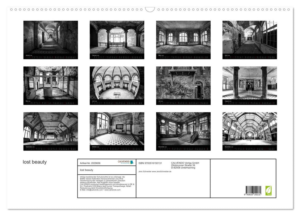 lost beauty (CALVENDO Wandkalender 2026)
