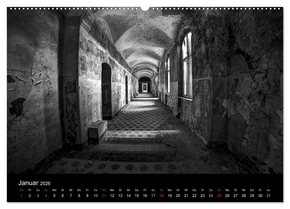 lost beauty (CALVENDO Wandkalender 2026)