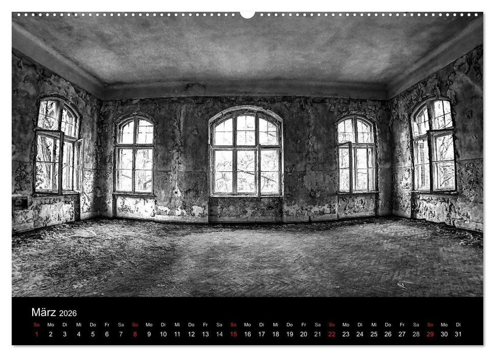 lost beauty (CALVENDO Wandkalender 2026)