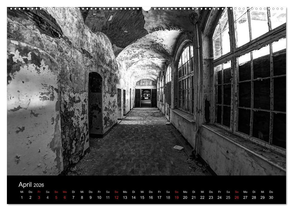 lost beauty (CALVENDO Wandkalender 2026)