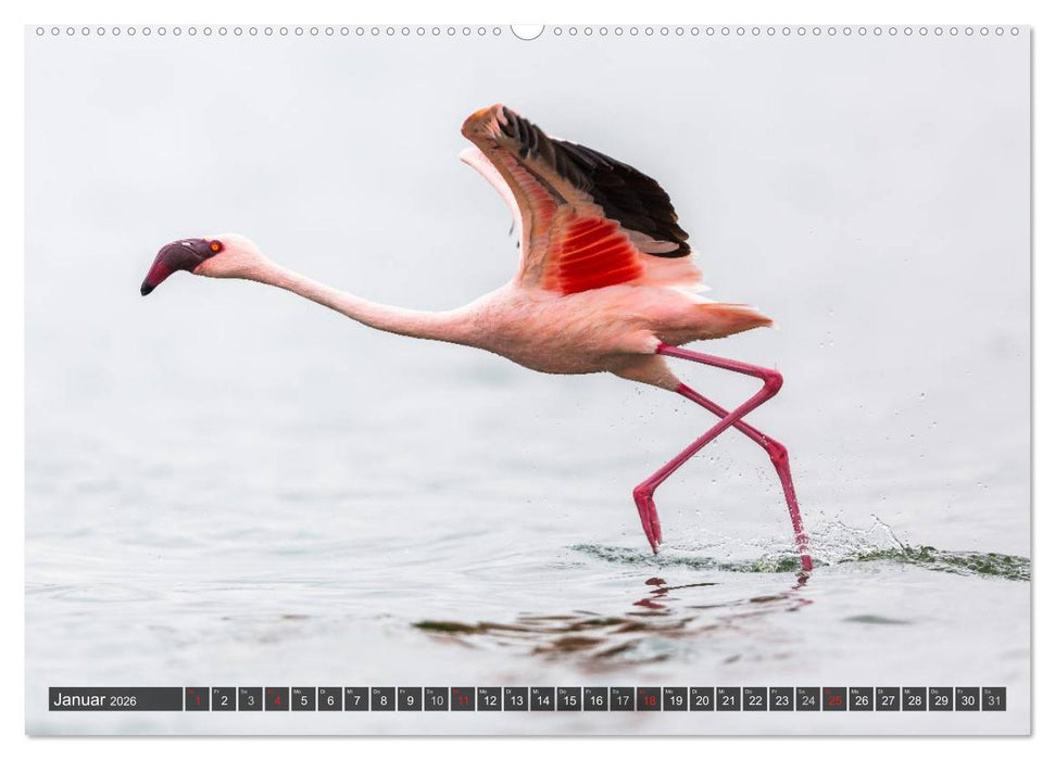 Kenia 2026 (CALVENDO Premium Wandkalender 2026)