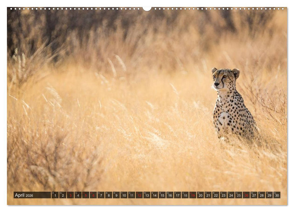 Kenia 2026 (CALVENDO Premium Wandkalender 2026)