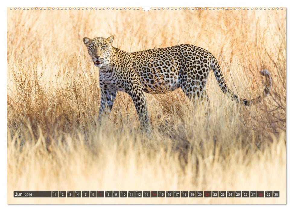 Kenia 2026 (CALVENDO Premium Wandkalender 2026)