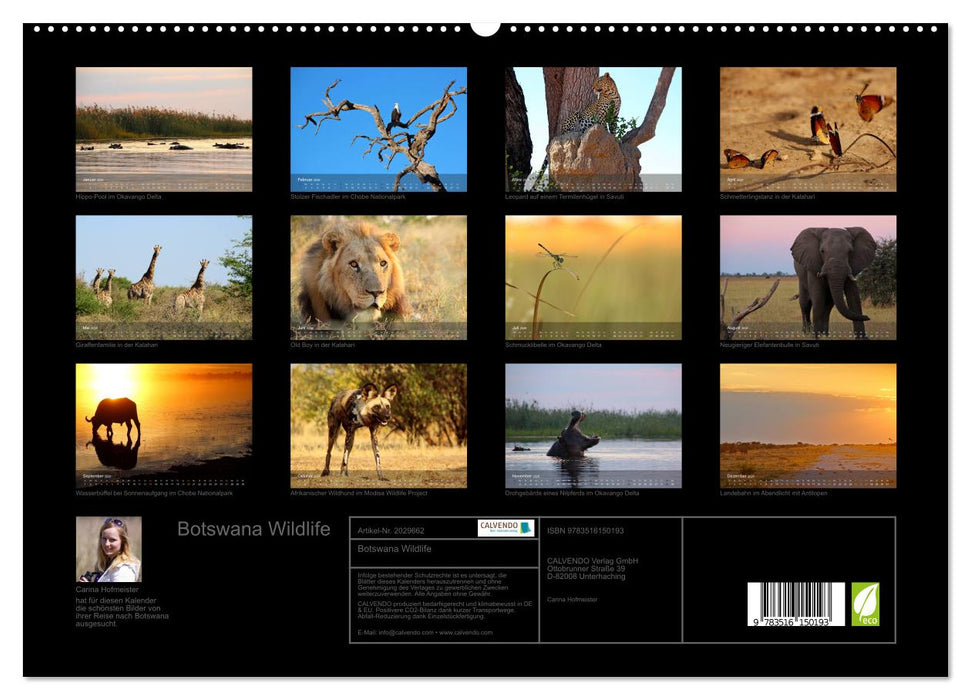 Botswana Wildlife (CALVENDO Premium Wandkalender 2026)