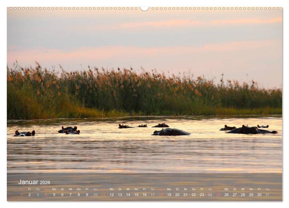 Botswana Wildlife (CALVENDO Premium Wandkalender 2026)