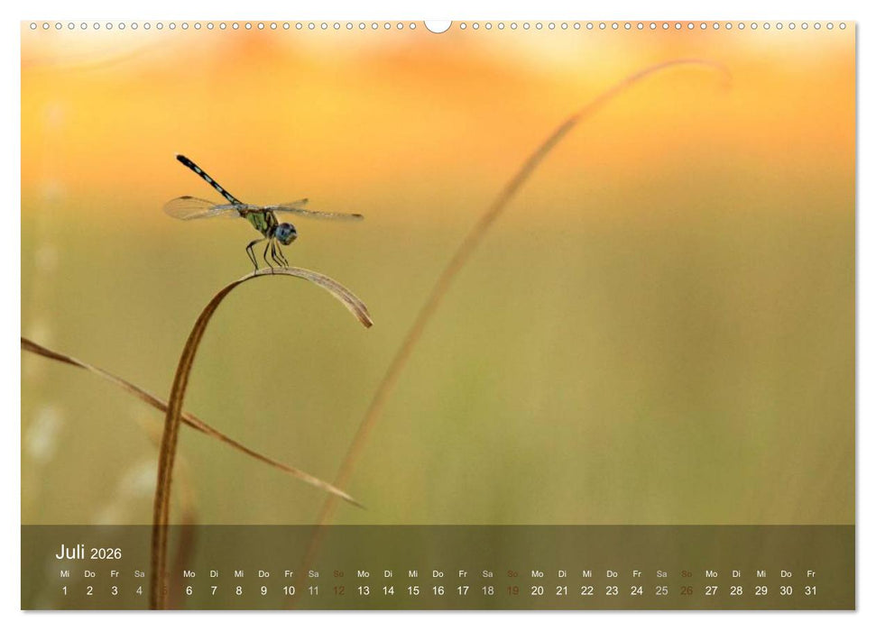 Botswana Wildlife (CALVENDO Premium Wandkalender 2026)