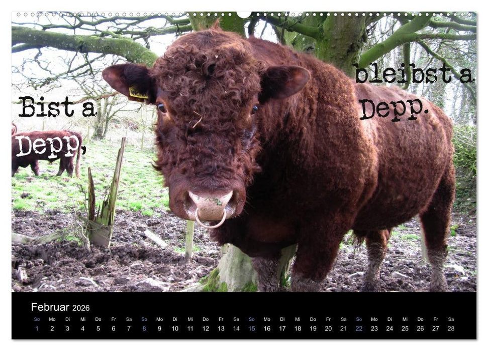 Baierische Lebensweisheiten (CALVENDO Premium Wandkalender 2026)