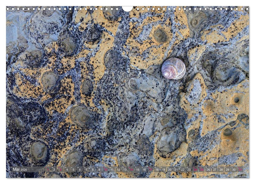 Steinreich (CALVENDO Wandkalender 2026)