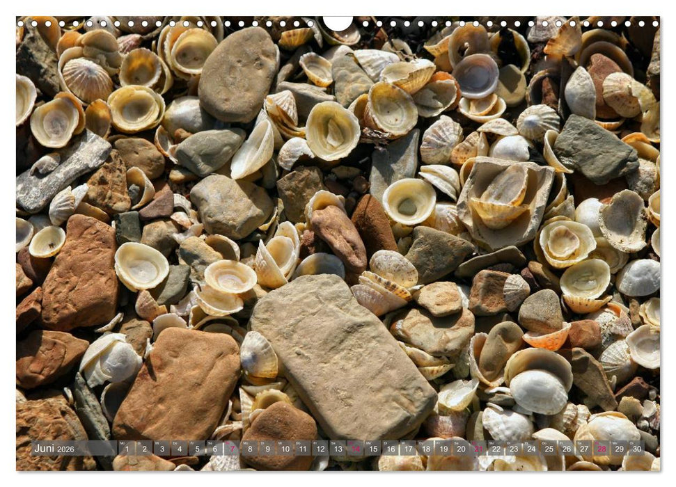 Steinreich (CALVENDO Wandkalender 2026)