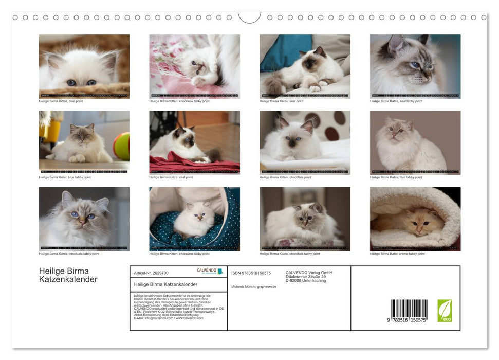 Heilige Birma Katzenkalender (CALVENDO Wandkalender 2026)