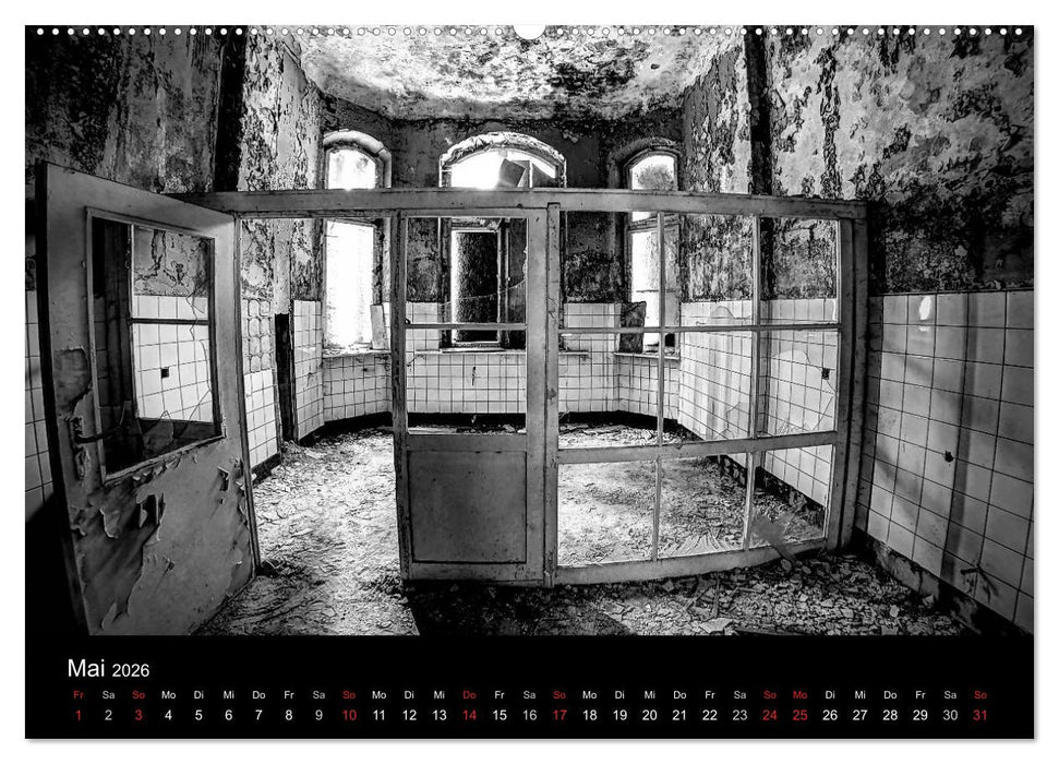lost beauty (CALVENDO Premium Wandkalender 2026)