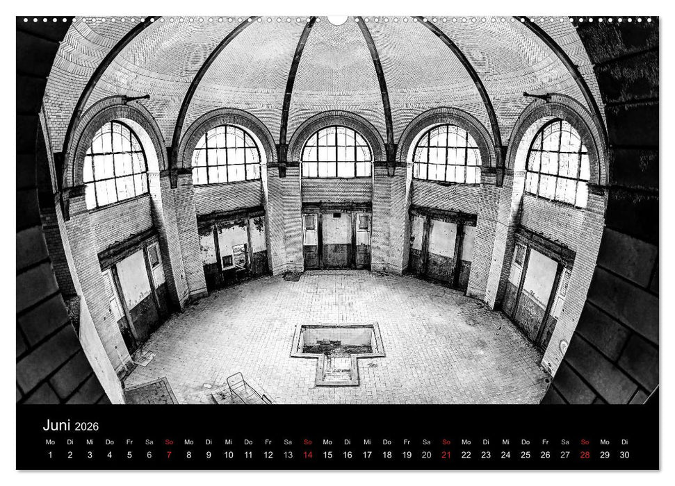 lost beauty (CALVENDO Premium Wandkalender 2026)