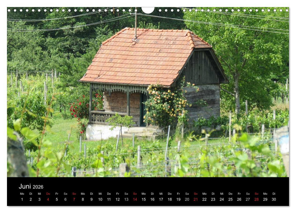Weinidylle im Südburgenland (CALVENDO Wandkalender 2026)