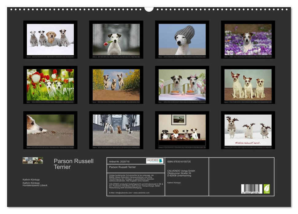 Parson Russell Terrier (CALVENDO Wandkalender 2026)