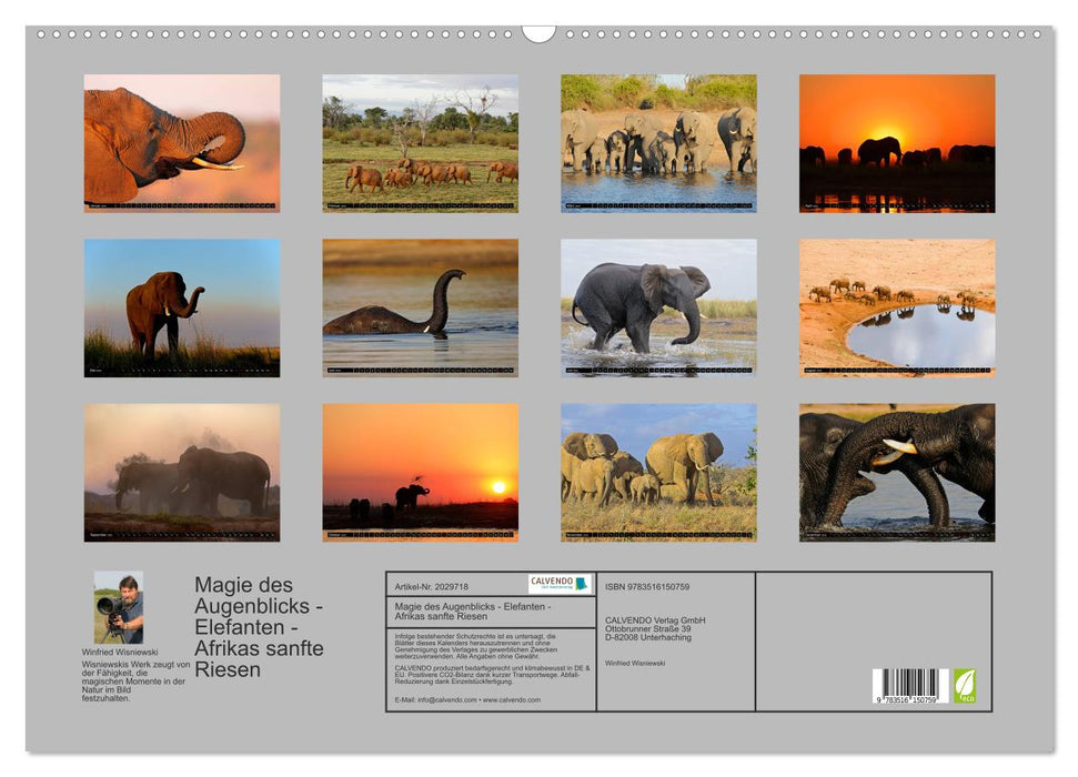 Magie des Augenblicks - Elefanten - Afrikas sanfte Riesen (CALVENDO Wandkalender 2026)