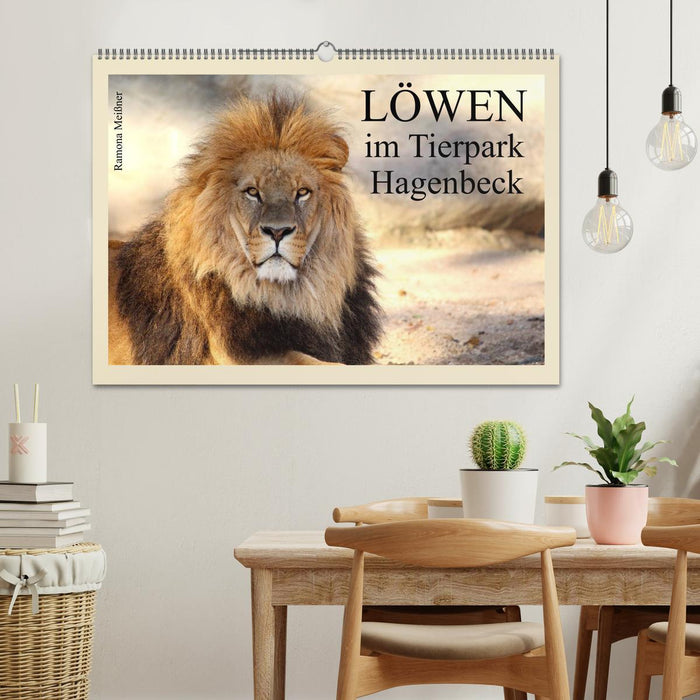 Löwen im Tierpark Hagenbeck (CALVENDO Wandkalender 2026)