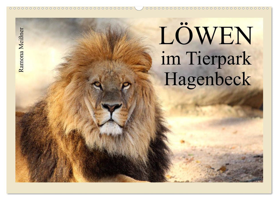 Löwen im Tierpark Hagenbeck (CALVENDO Wandkalender 2026)