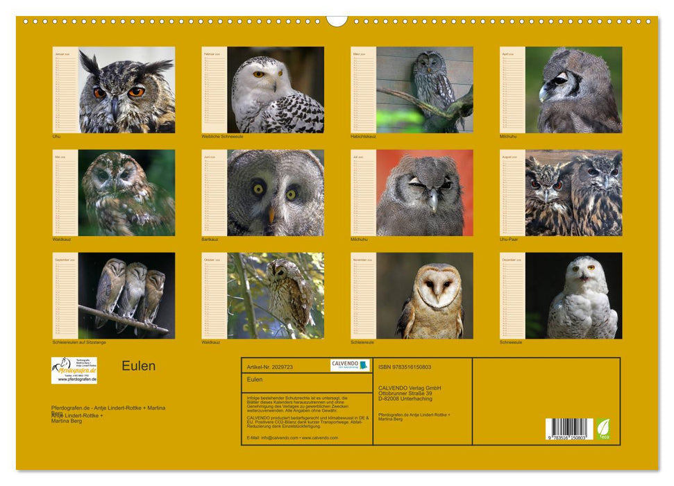 Eulen (CALVENDO Wandkalender 2026)